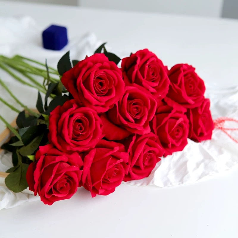 5fc6ed5f2a2d540aef2a44f035b611f